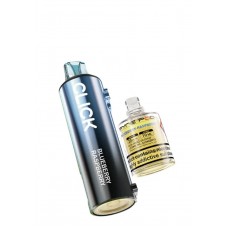 PYNE POD refill blueberry raspberry 